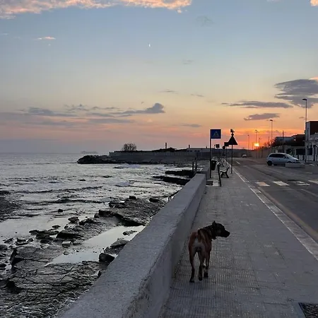 Casa Sophia 3* 巴里